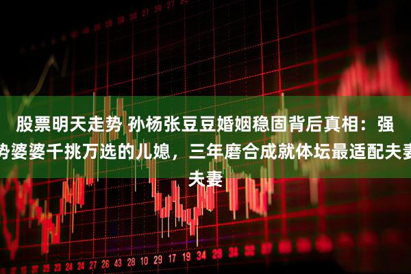 股票明天走势 孙杨张豆豆婚姻稳固背后真相：强势婆婆千挑万选的儿媳，三年磨合成就体坛最适配夫妻